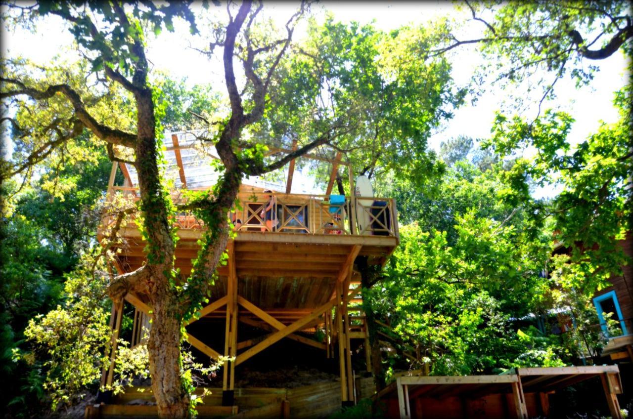 מסאנז' Village Nature Et Ocean A Cote De La Plage Avec Piscine Et Jacuzzi מראה חיצוני תמונה