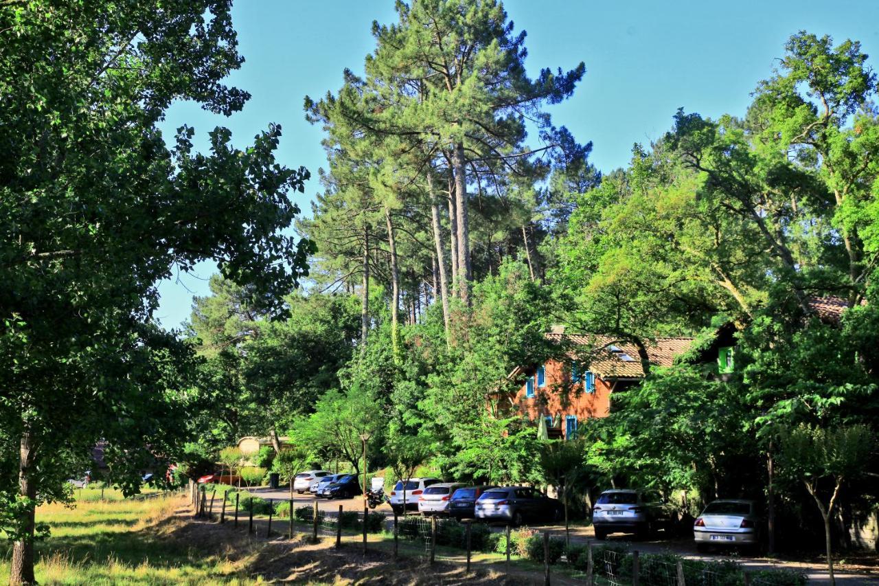 מסאנז' Village Nature Et Ocean A Cote De La Plage Avec Piscine Et Jacuzzi מראה חיצוני תמונה