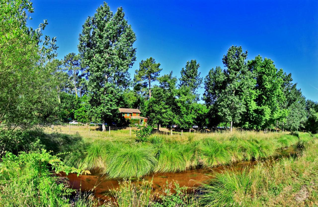 מסאנז' Village Nature Et Ocean A Cote De La Plage Avec Piscine Et Jacuzzi מראה חיצוני תמונה